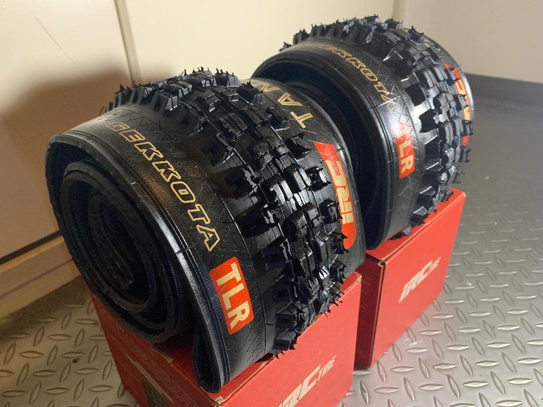 IRC TANKEN GEKKOTA 2本セット 29 × 2.3