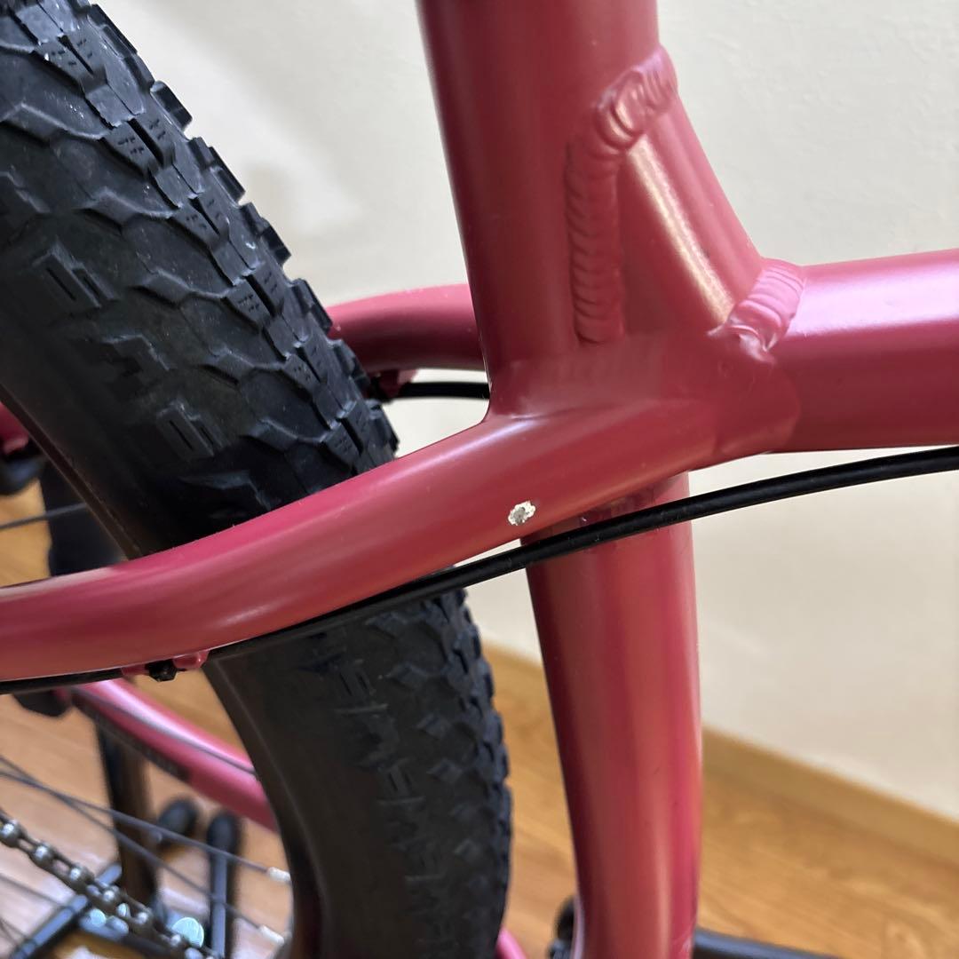 santa cruz chameleon 29er サンタクルズ　カメレオン