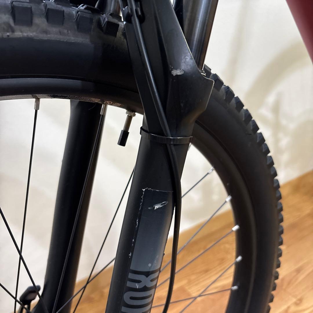 santa cruz chameleon 29er サンタクルズ　カメレオン