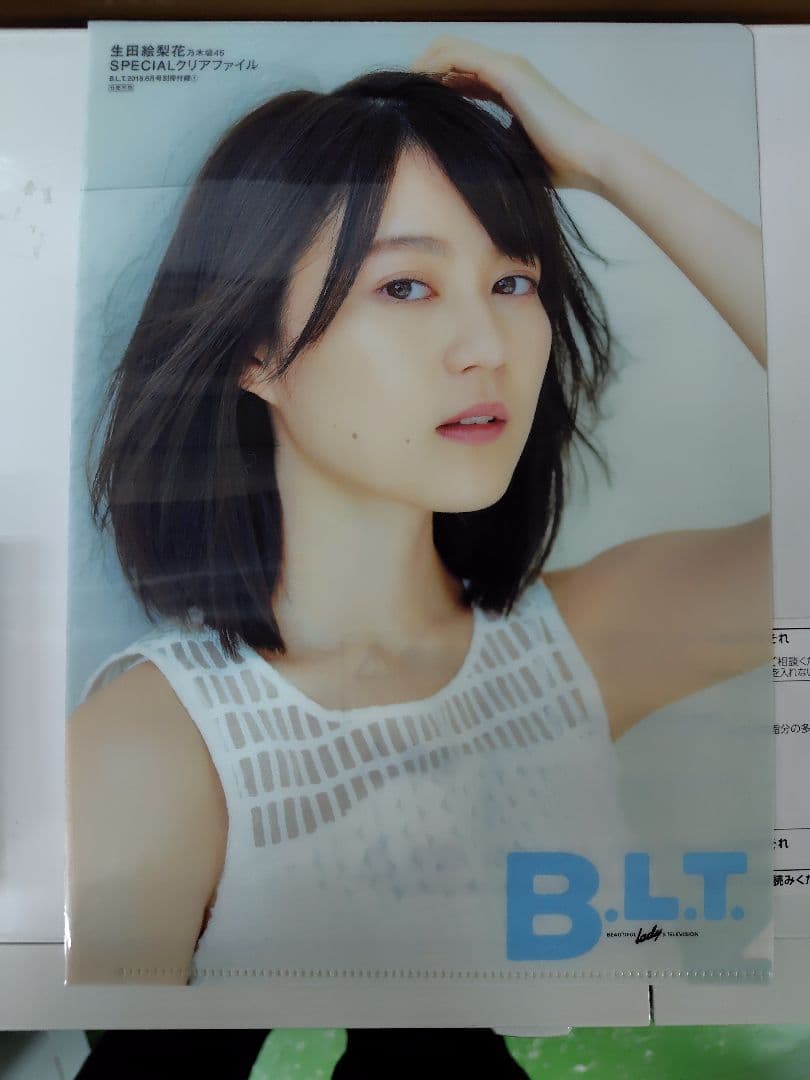 【貴重】乃木坂46などアイドルクリアファイル31枚セット！坂道、AKBなど！