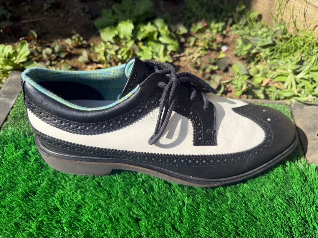 ECCO メンズモデル スパイクレス CLASSIC HYBRID Brog