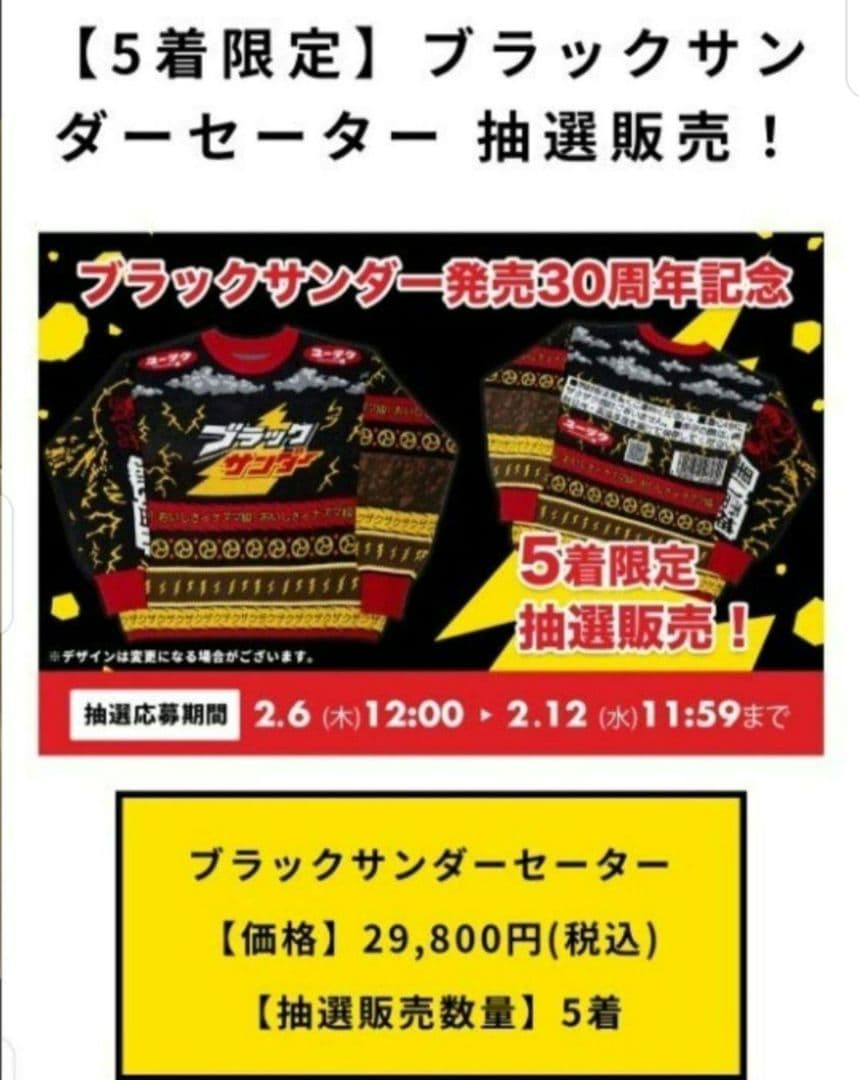 【超希少】【早い者勝ち】ブラックサンダー セーター 30周年記念品
