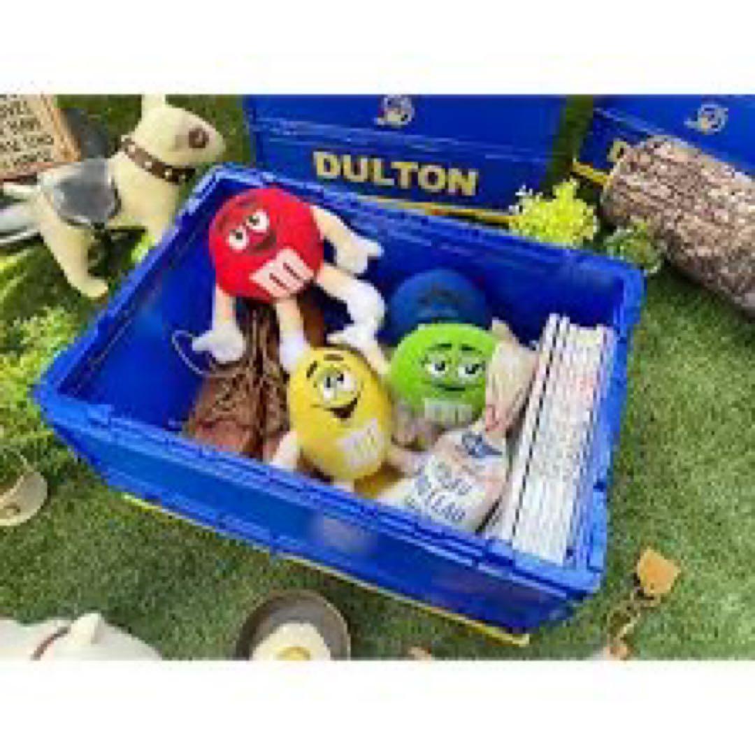 家具・インテリア DULTON FOLDING CONTAINER 40L