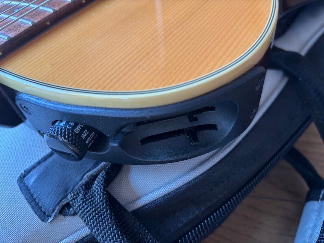Line6 variax acoustic 700 エレアコ