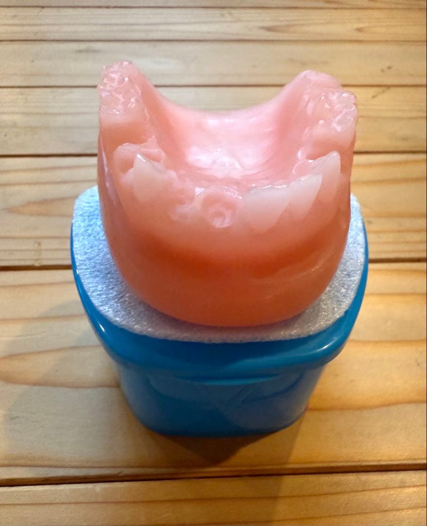 ANTI HERO ANDY ROY アンディロイ 歯型WAX & ケース送料込