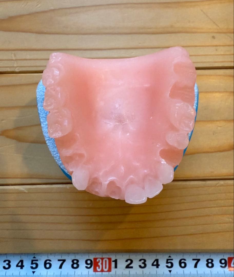 ANTI HERO ANDY ROY アンディロイ 歯型WAX & ケース送料込