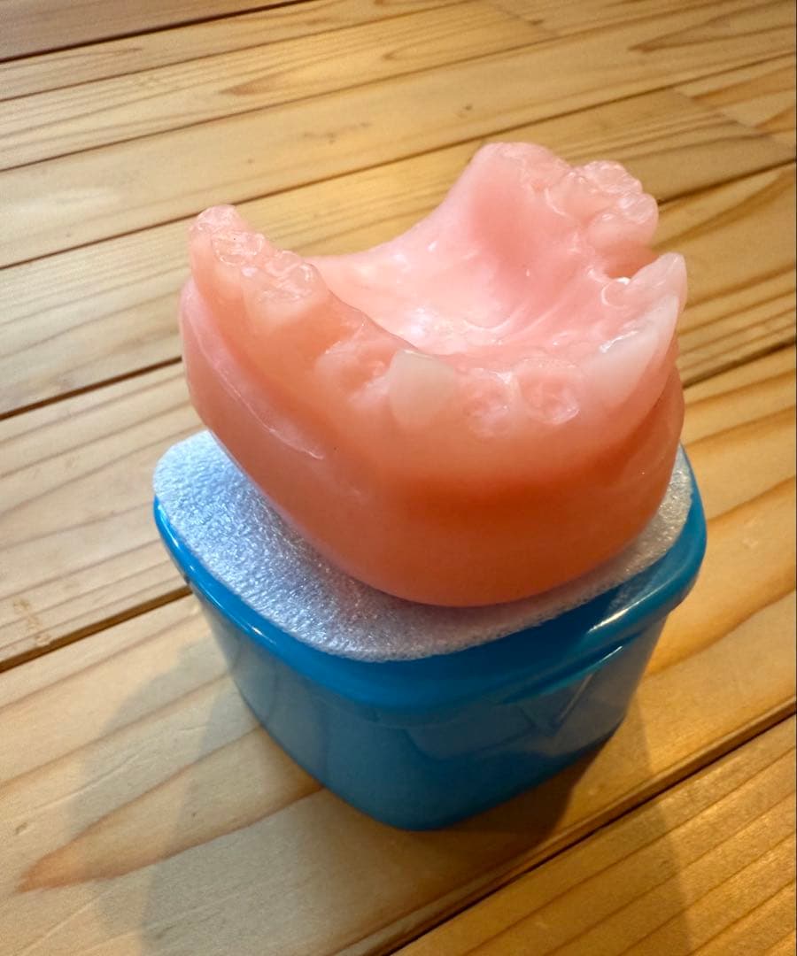 ANTI HERO ANDY ROY アンディロイ 歯型WAX & ケース送料込