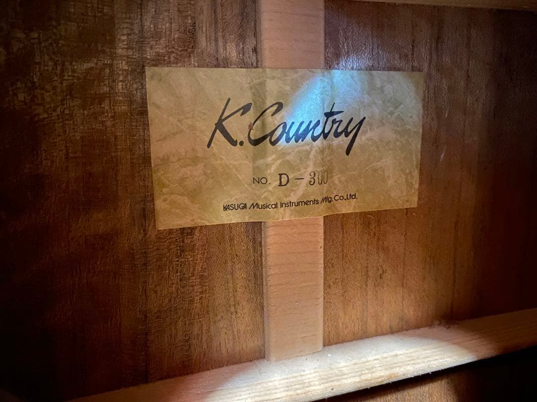 K.Country D-300 (エレアコ仕様)
