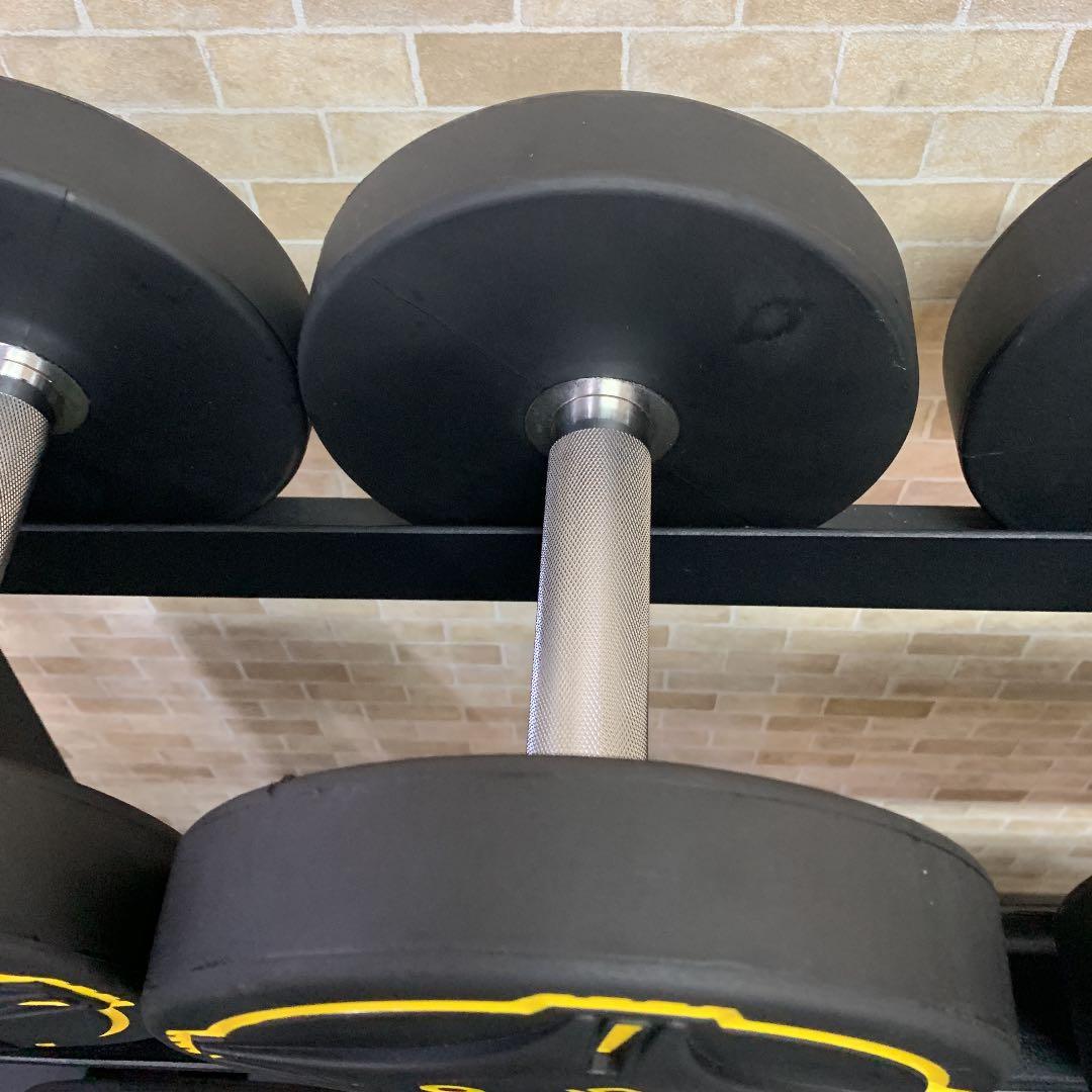 TPUダンベル  12.5kg 2個