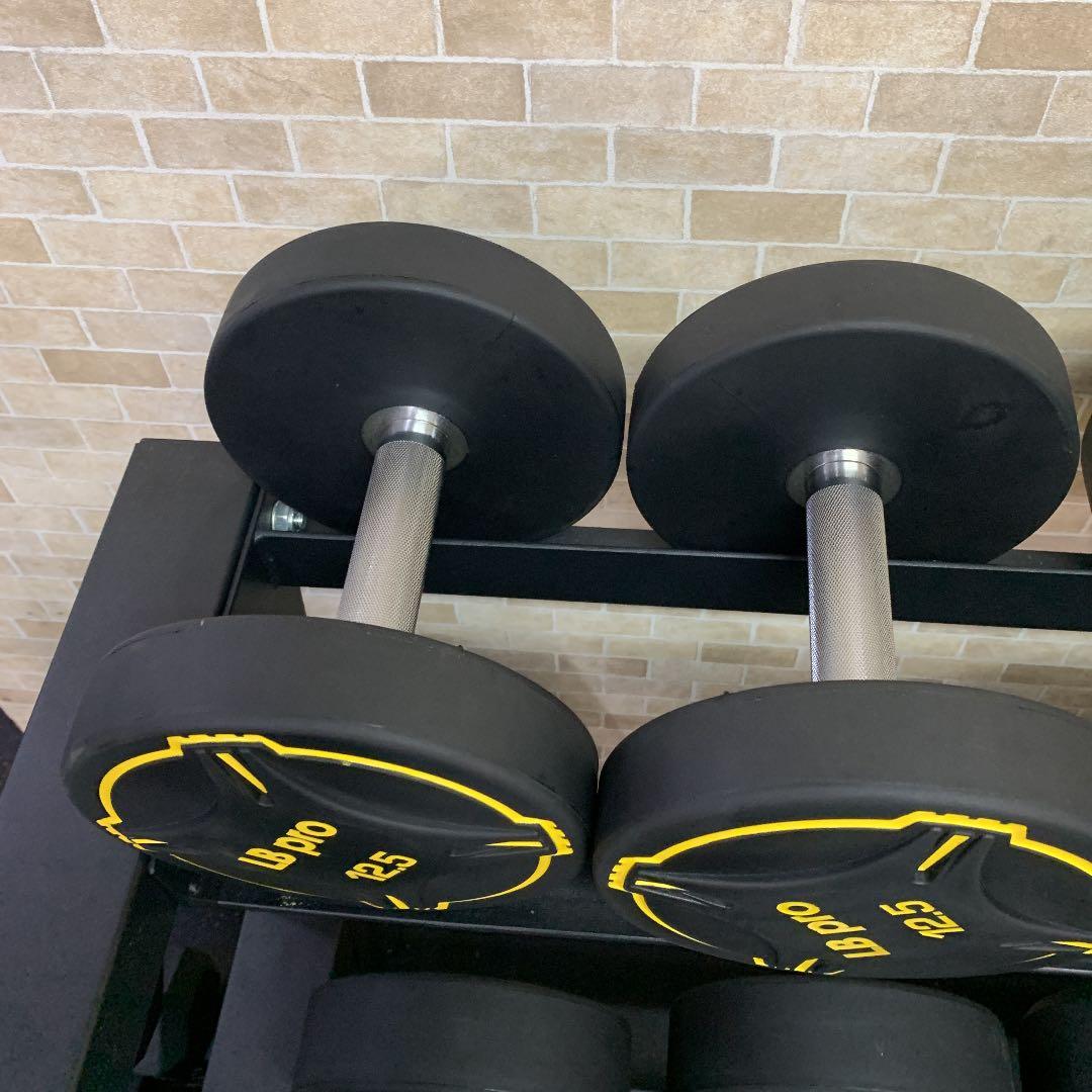 TPUダンベル  12.5kg 2個