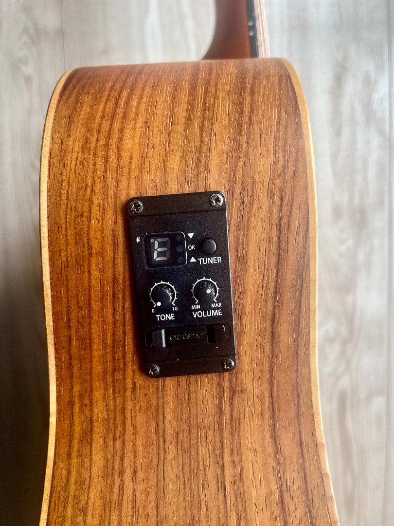 ギター GS Mini-e Rosewood