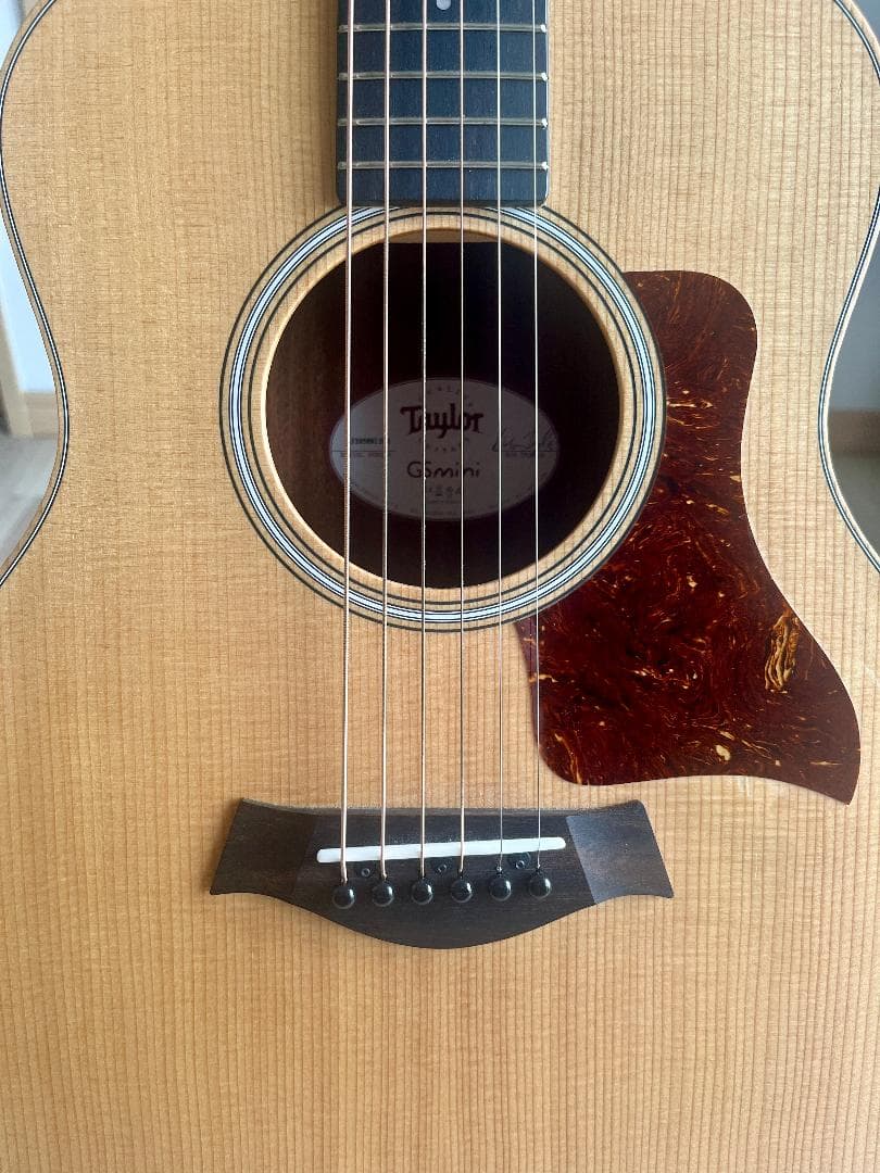 ギター GS Mini-e Rosewood