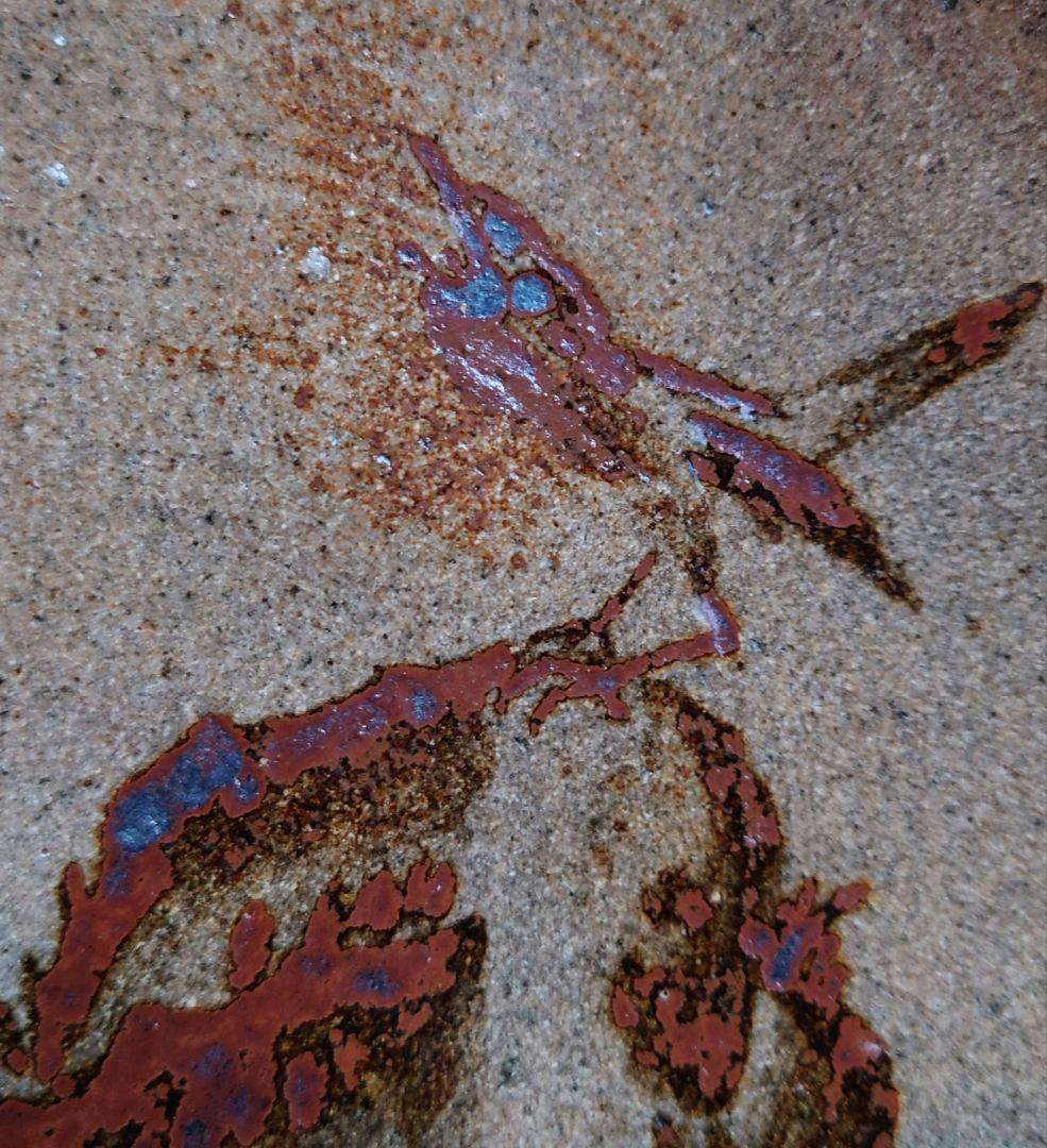 【稀少 廃窯】お茶の水窯 四代目 捷延 作 絵唐津 皿 21.5cm 未使用完品