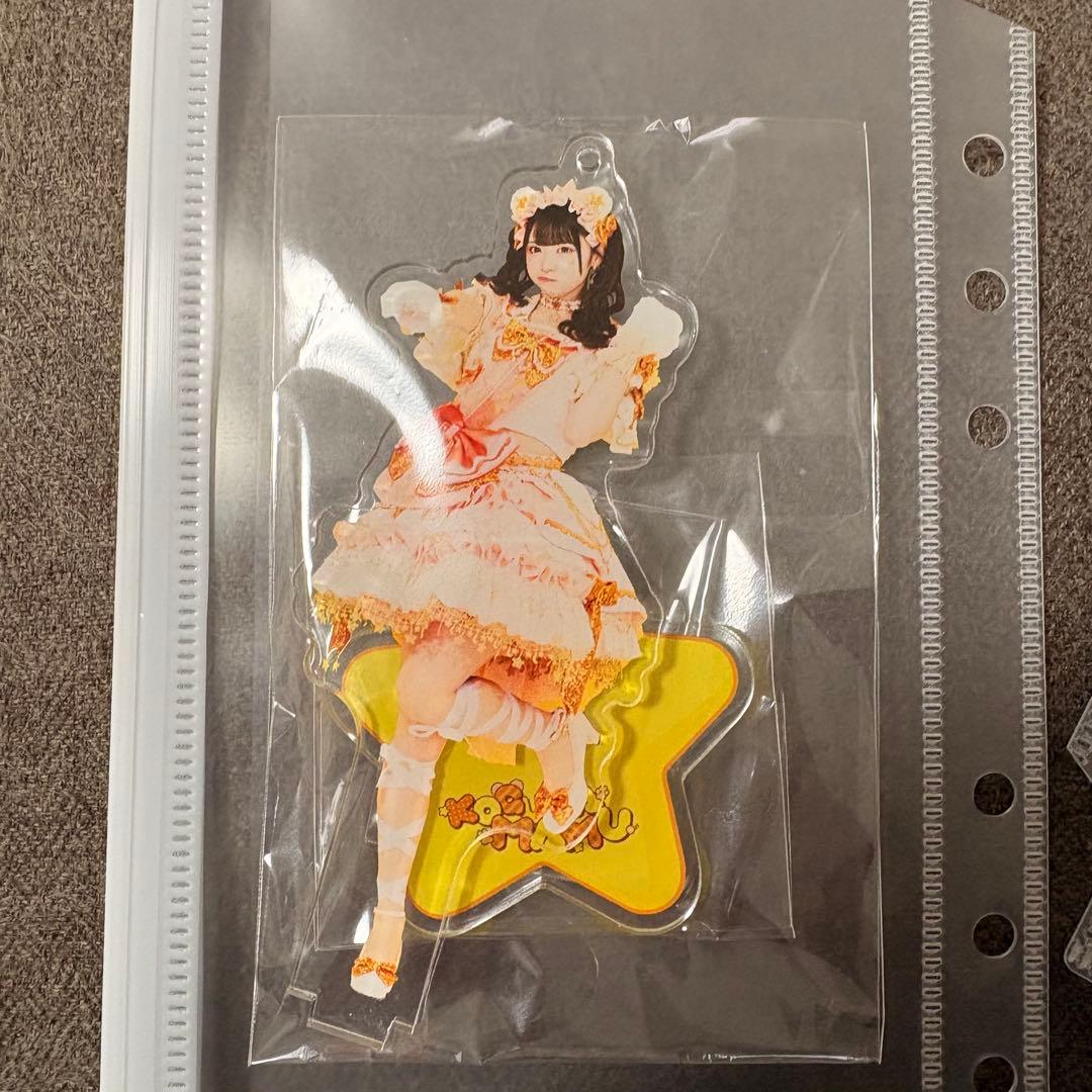 iLIFE! 小熊まむ 生誕祭 アクリルキーホルダー 2点セット