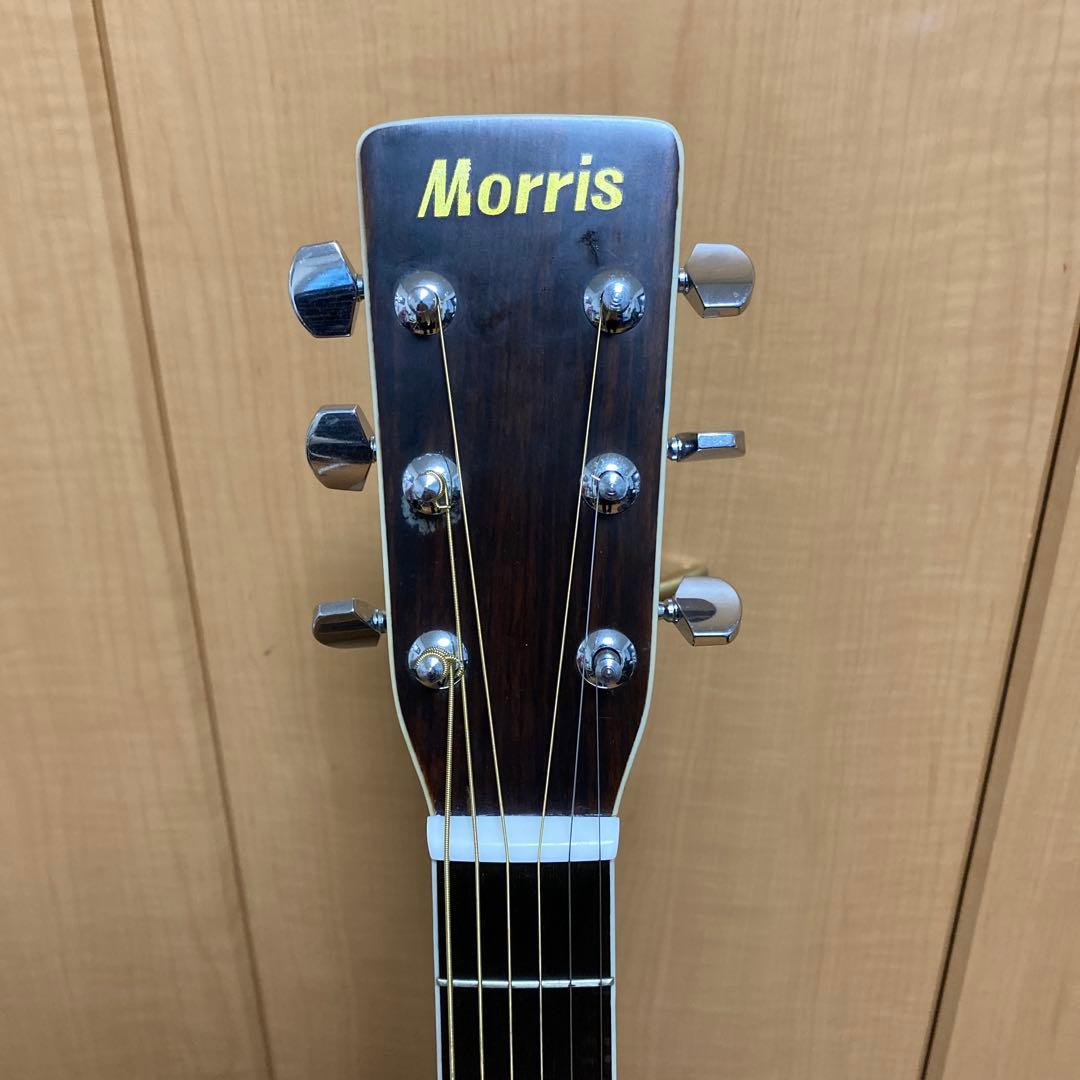 s*g様 【ピック・ソフトケース付】Morris W-25 アコースティックギタ