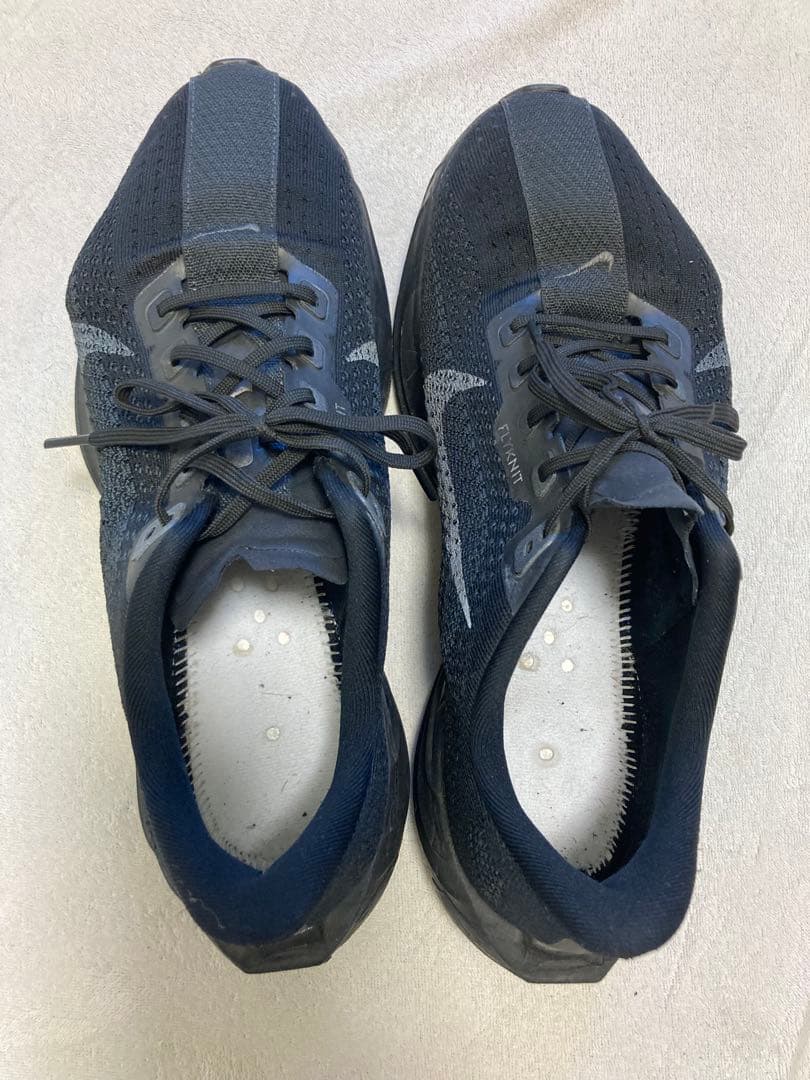 NIKE ペガサスプラス 28㎝　ランニングシューズ　オールブラック風