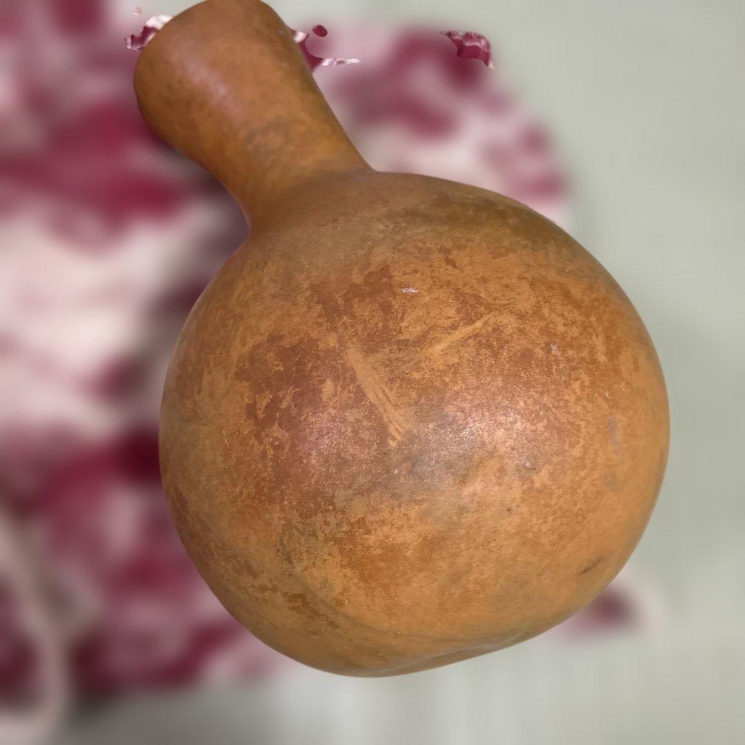 フラダンス イプ 楽器 巾着袋付 茶色 打楽器