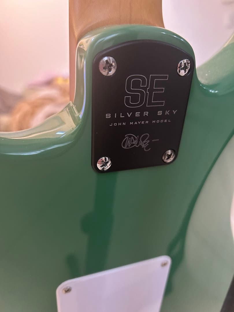 PRS (Paul Reed Smith)SEエレキギター