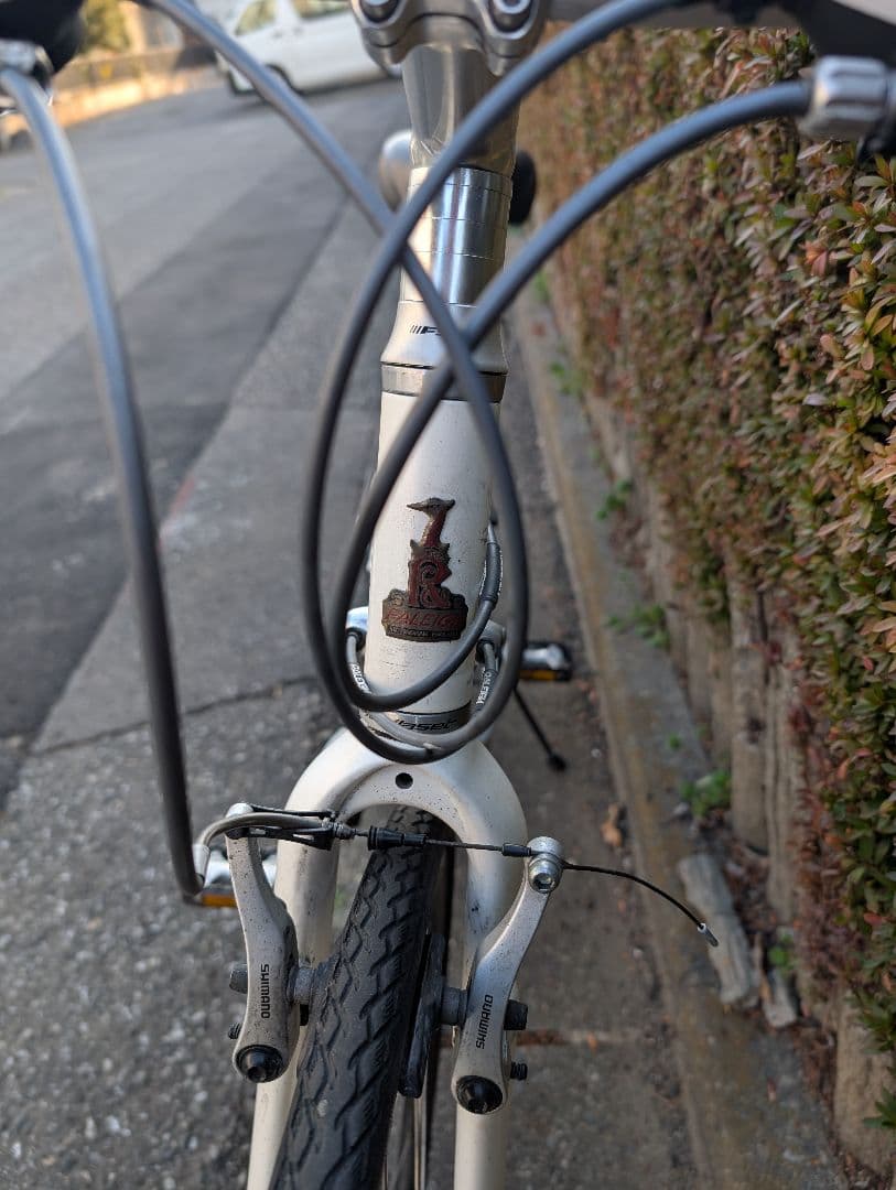 自転車本体 Raleigh