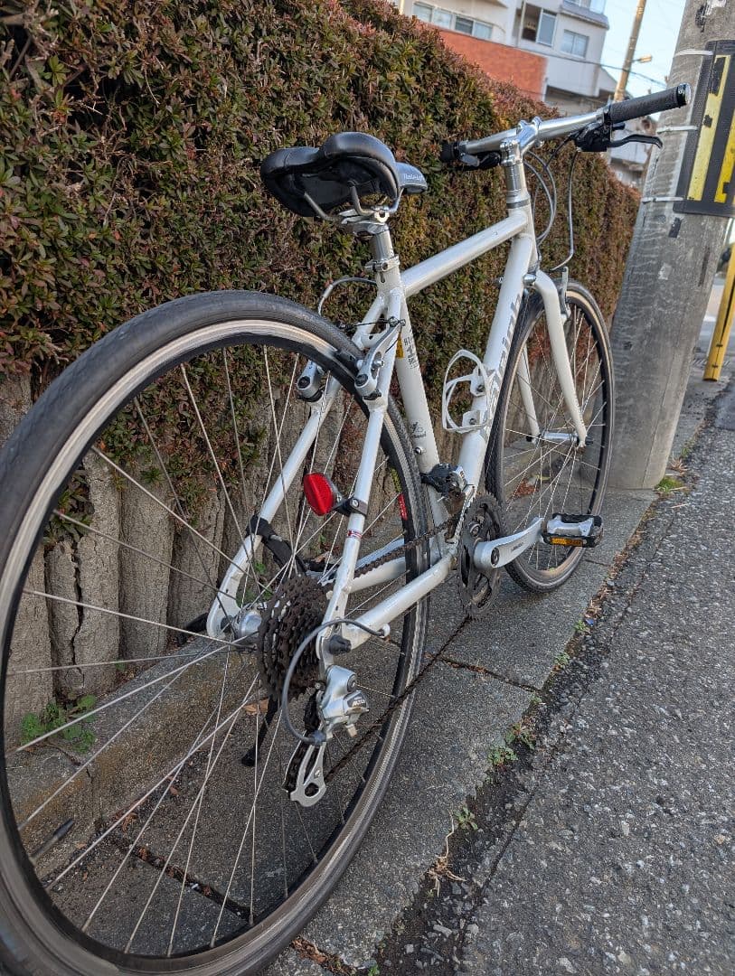 自転車本体 Raleigh