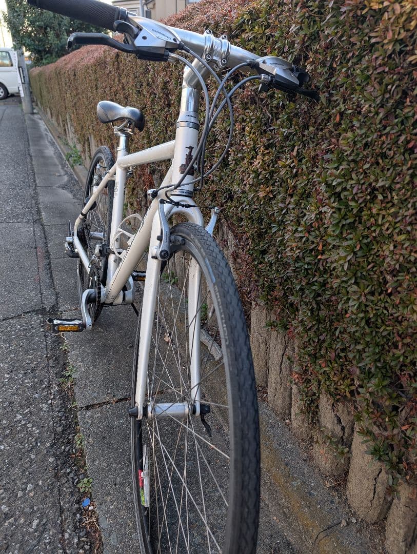 自転車本体 Raleigh