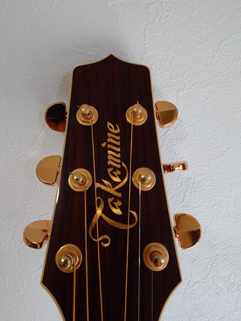 Takamine エレアコギター ソフトギターケース付き