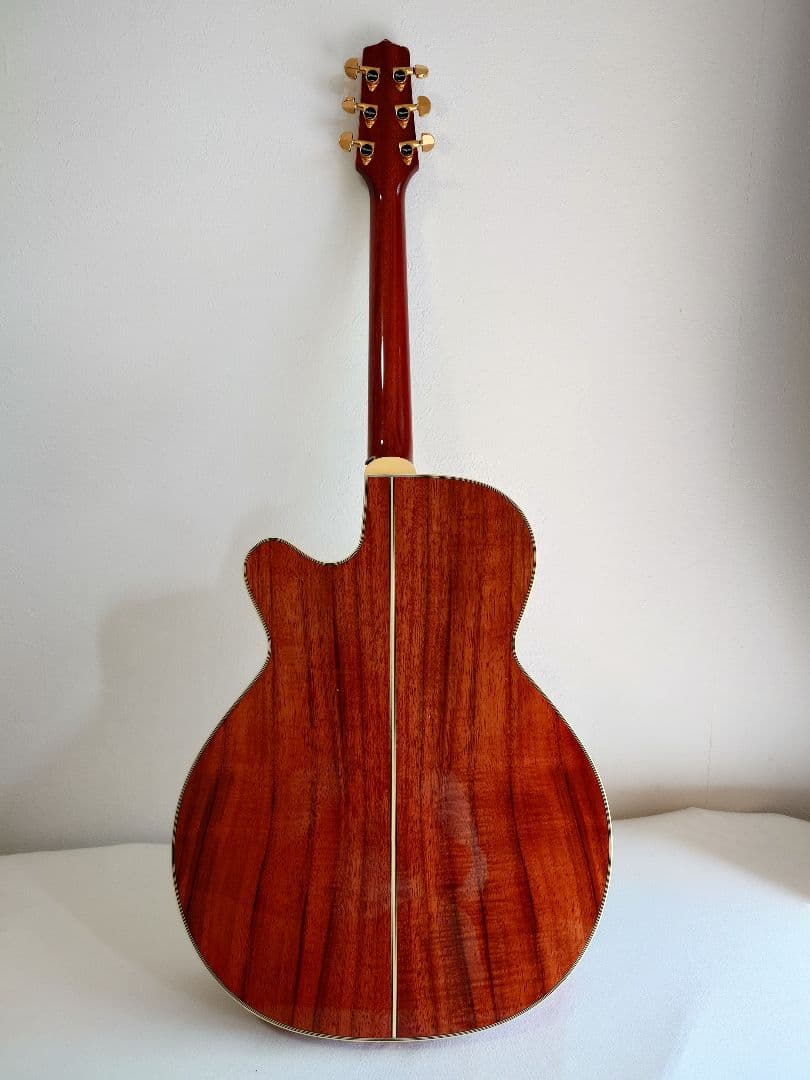 Takamine エレアコギター ソフトギターケース付き