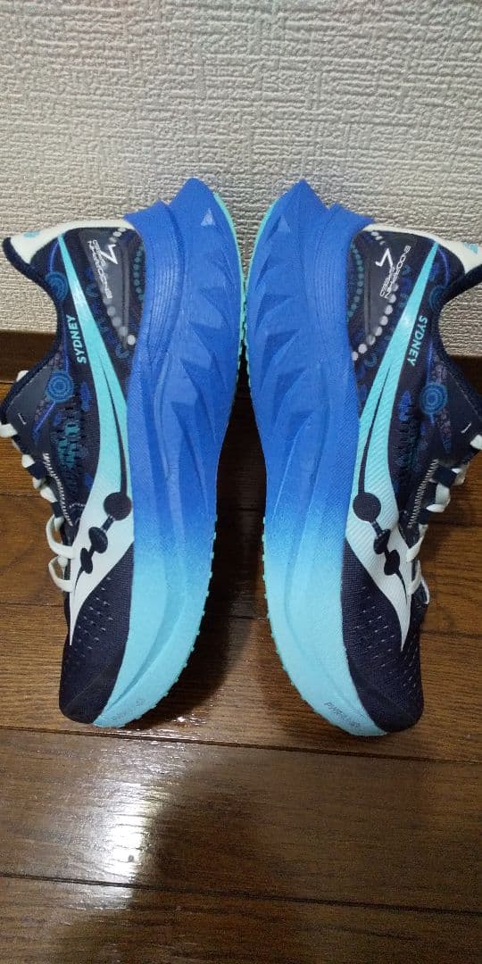 saucony サッカニー エンドルフィンスピード4