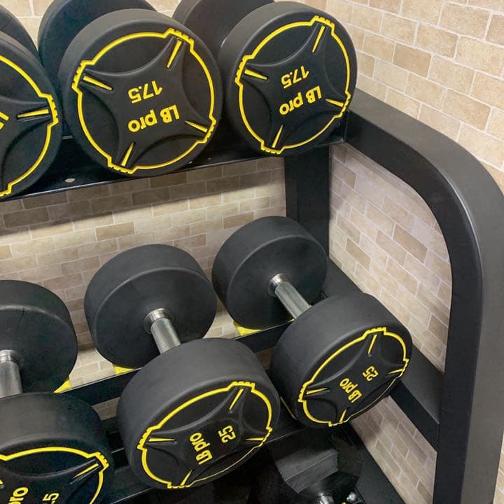 TPUダンベル　37.5kg２個