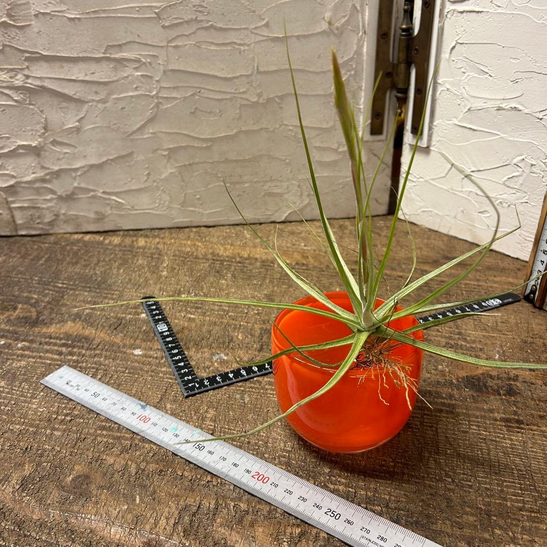 花器　花瓶　ガラス器　4つセット