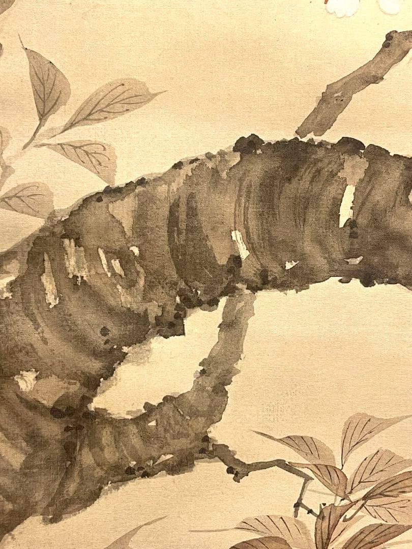 一斎 掛け軸 掛軸 直筆 夜桜 満月 朧月 日本画 絵画 春 桜 茶掛 肉筆