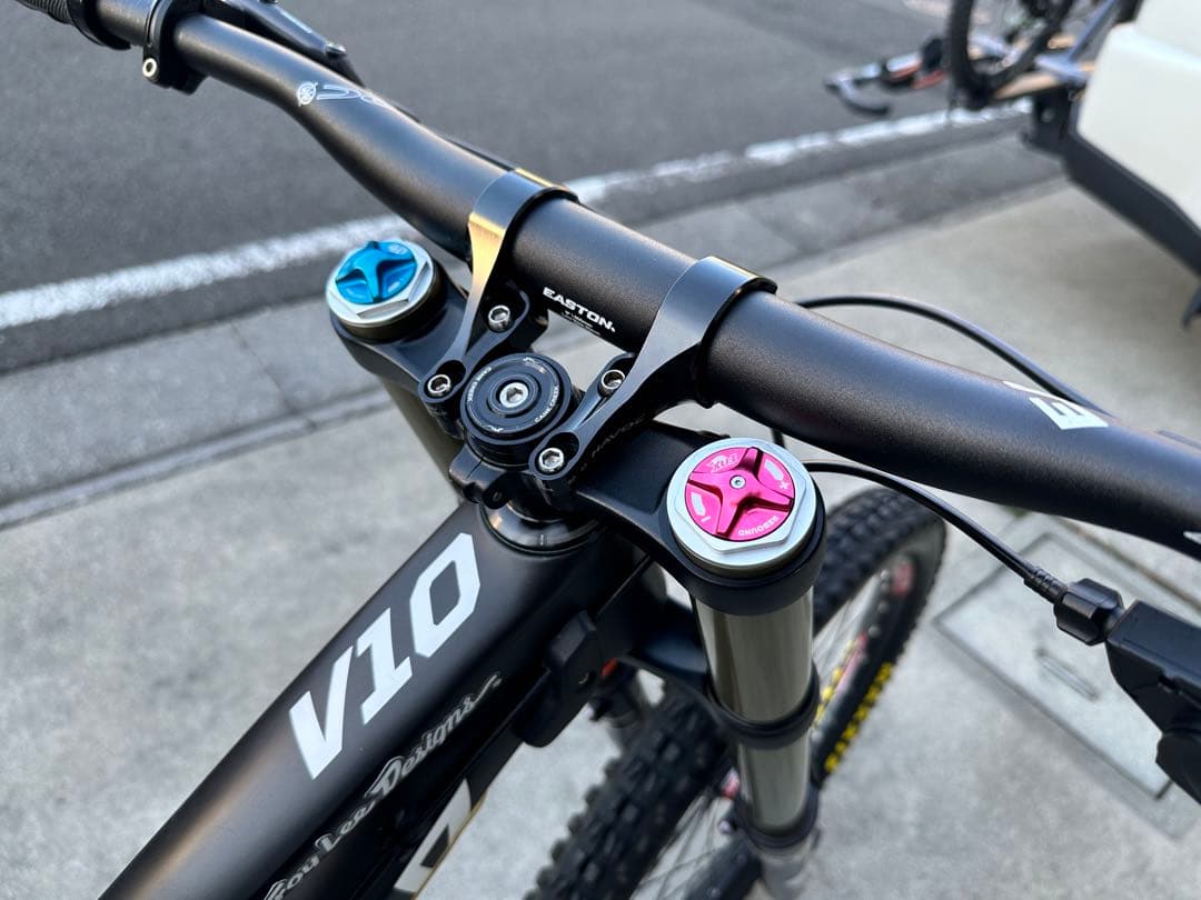 Santa Cruz V10 6 ダウンヒルバイク カーボン SIZE: M