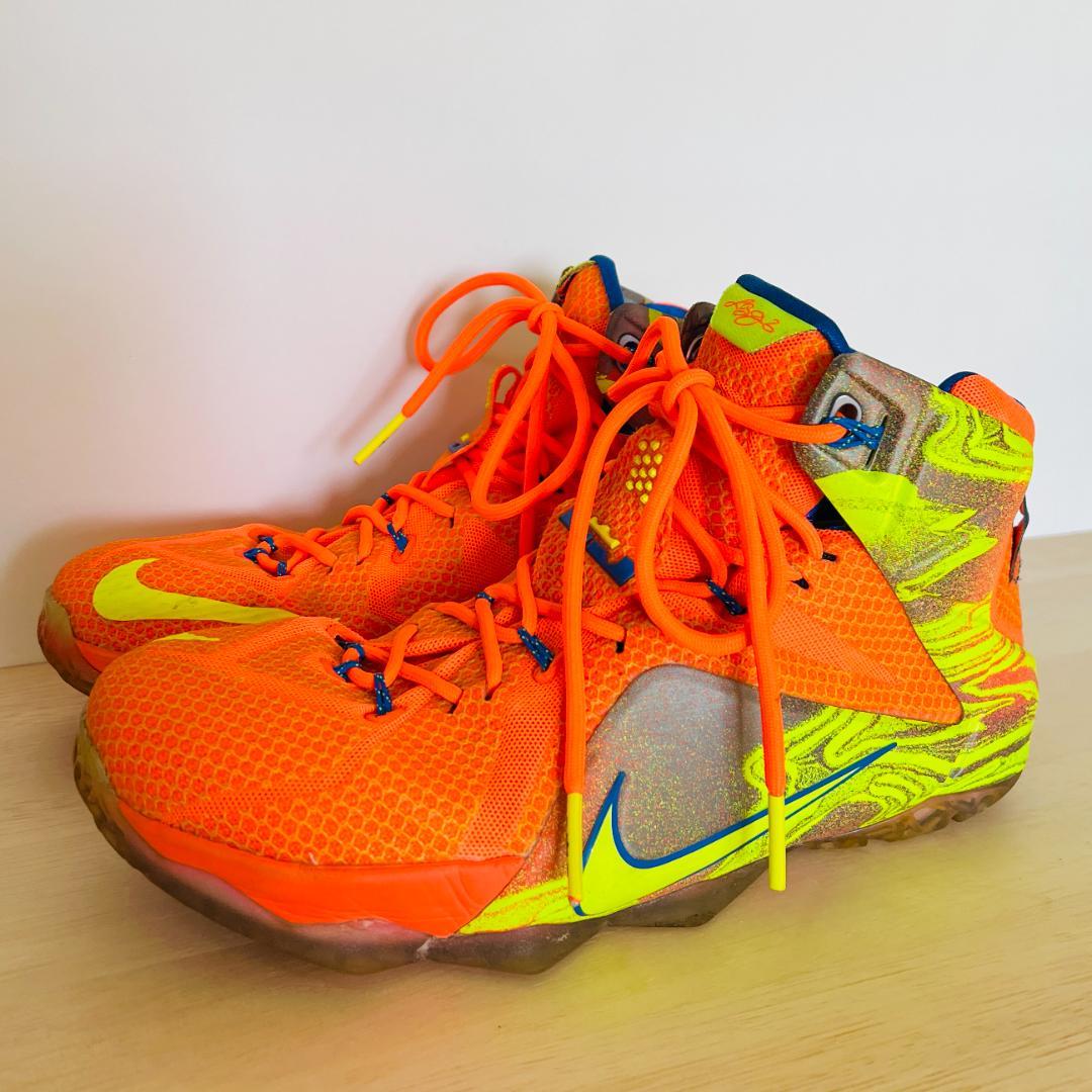 【美品‼️】NIKE レブロン 12 スニーカー Lebron