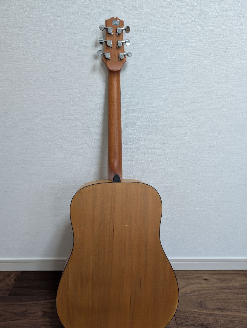 Ashton D20 アコースティックギター