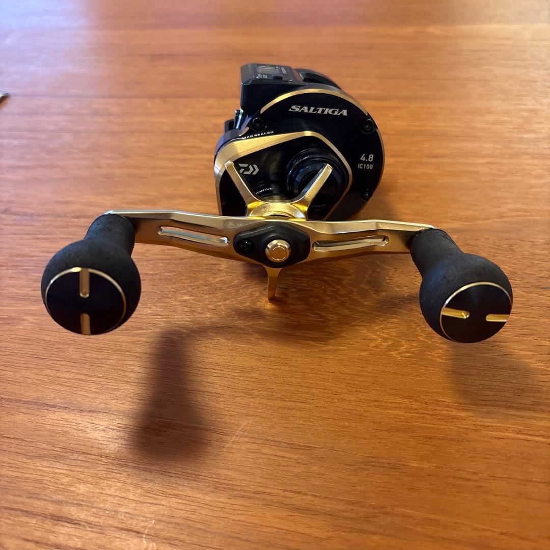 DAIWA SALTIGA IC IC 100PL-DH ソルティガ