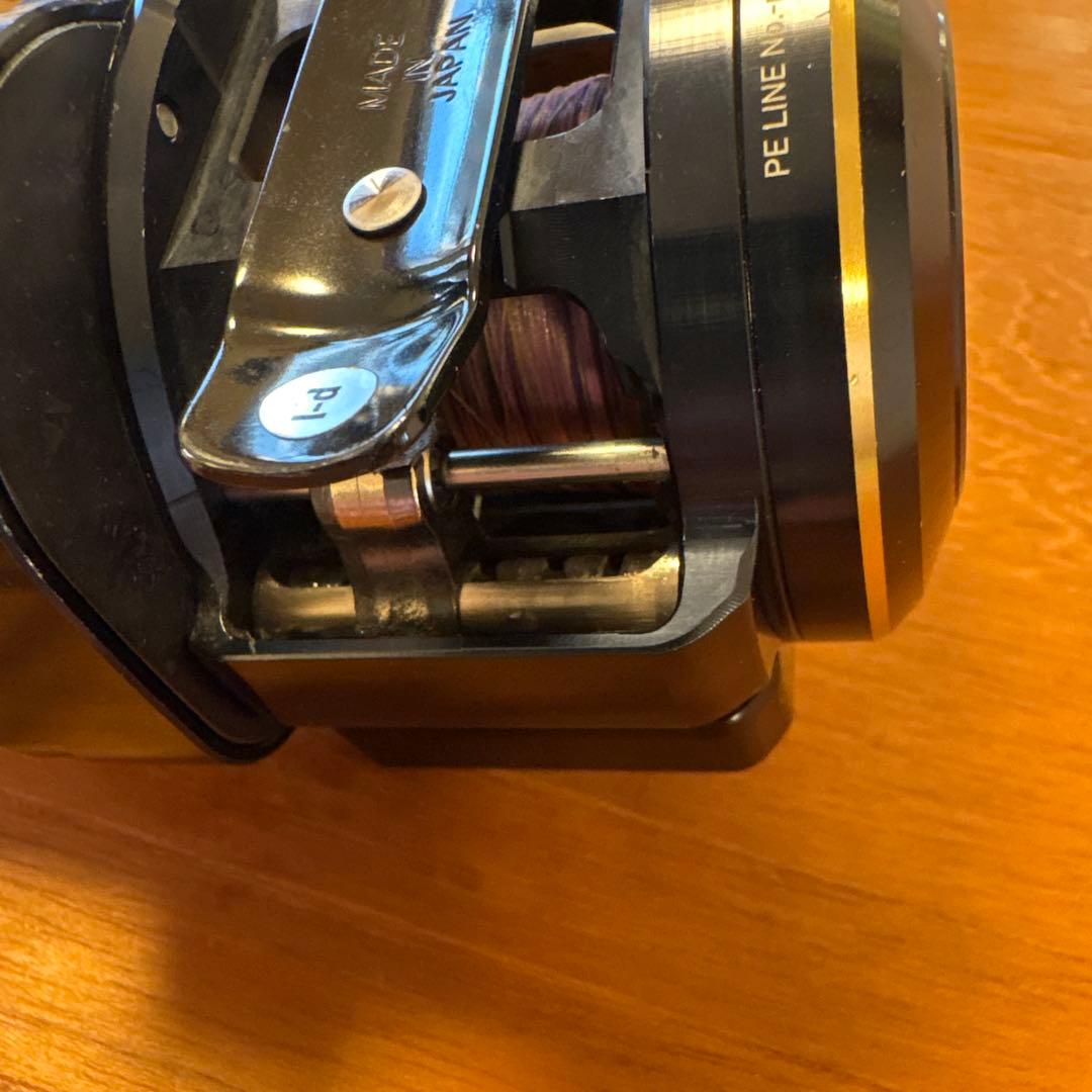 DAIWA SALTIGA IC IC 100PL-DH ソルティガ