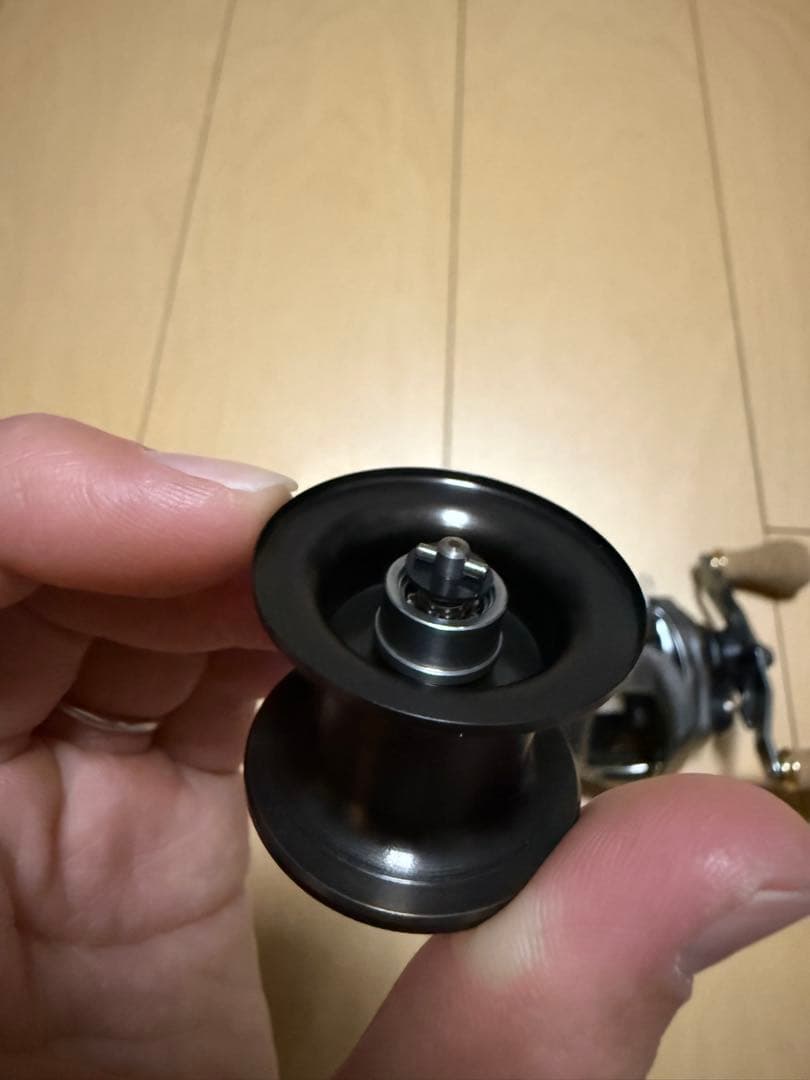 DAIWA ジリオン SV TW 1000H ベイトリール