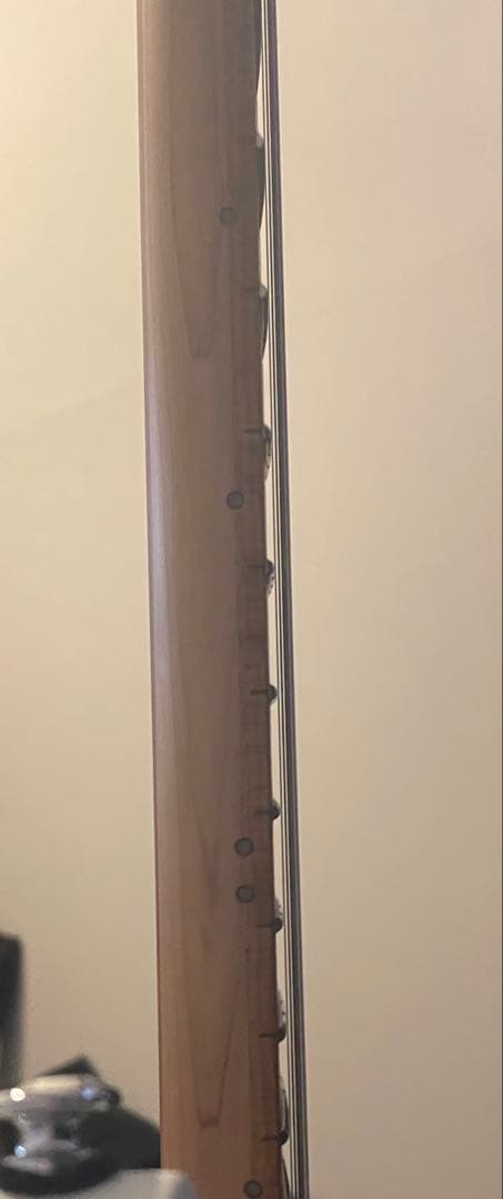 ギター ibanez ICHI10