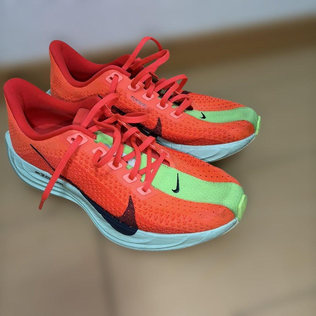 NIKE ナイキ　ペガサスプラス　メンズ　25cm