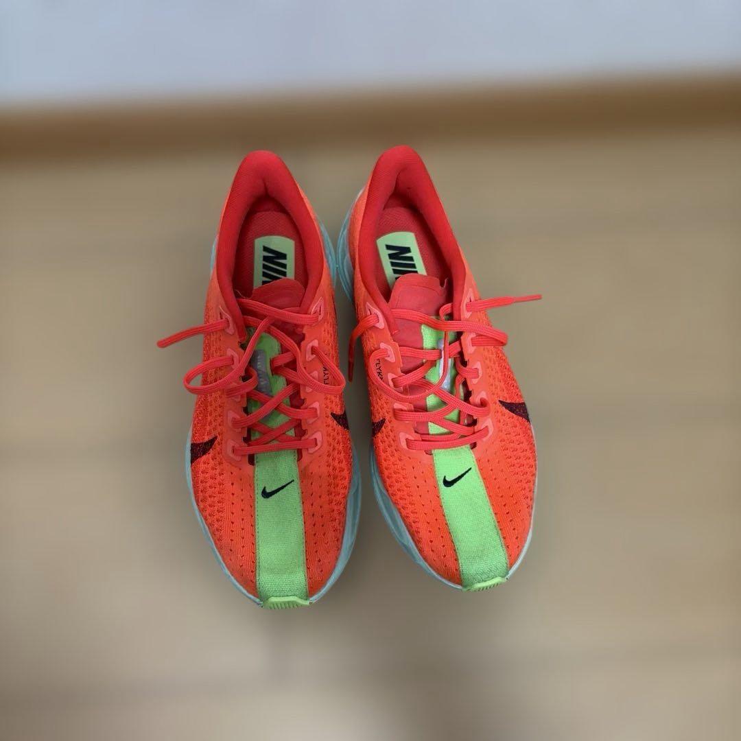 NIKE ナイキ　ペガサスプラス　メンズ　25cm