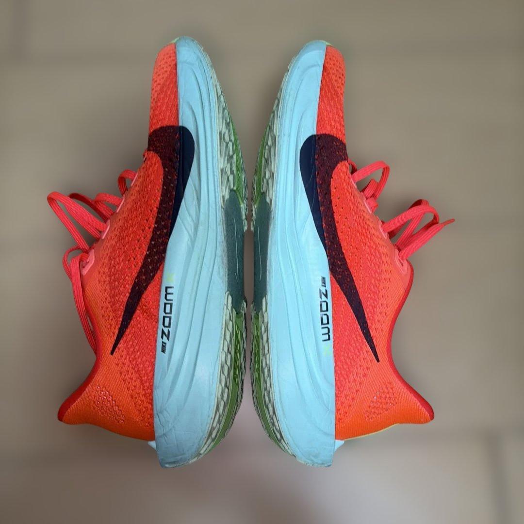 NIKE ナイキ　ペガサスプラス　メンズ　25cm