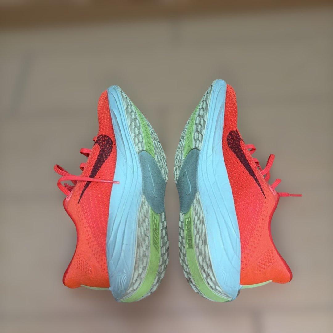 NIKE ナイキ　ペガサスプラス　メンズ　25cm