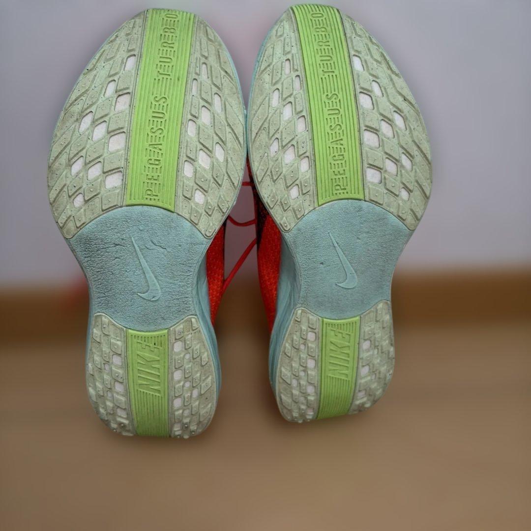 NIKE ナイキ　ペガサスプラス　メンズ　25cm