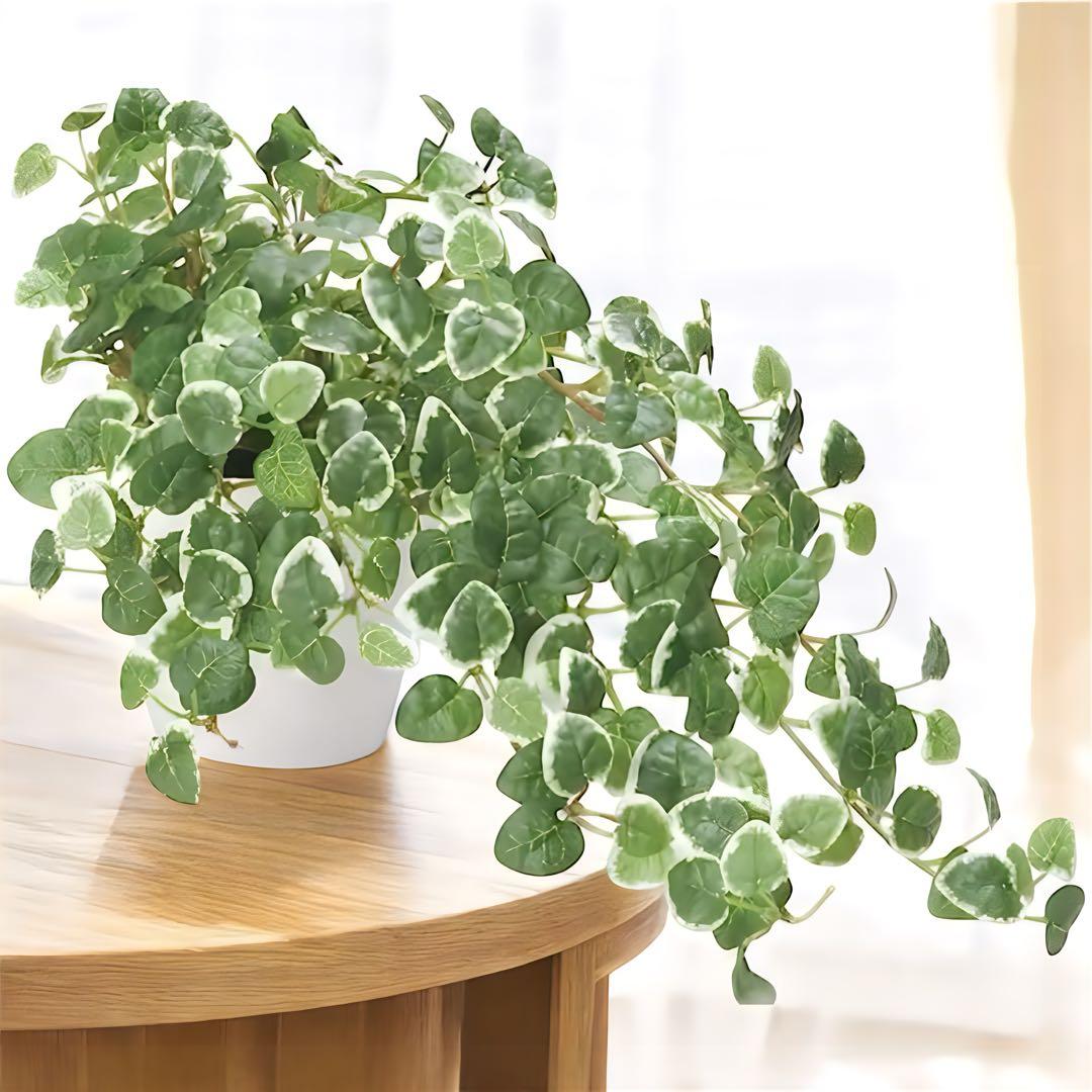 光触媒　人工観葉植物　ウォールグリーン　フェイクグリーン　プミラ