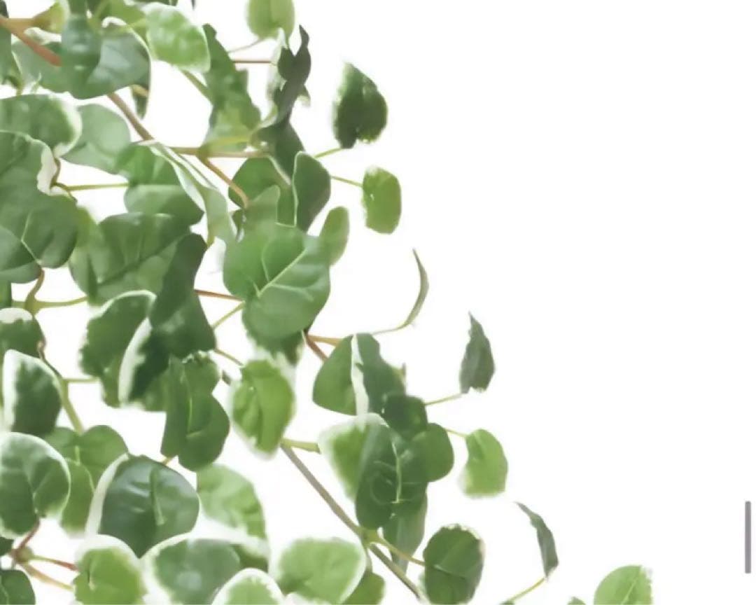 光触媒　人工観葉植物　ウォールグリーン　フェイクグリーン　プミラ