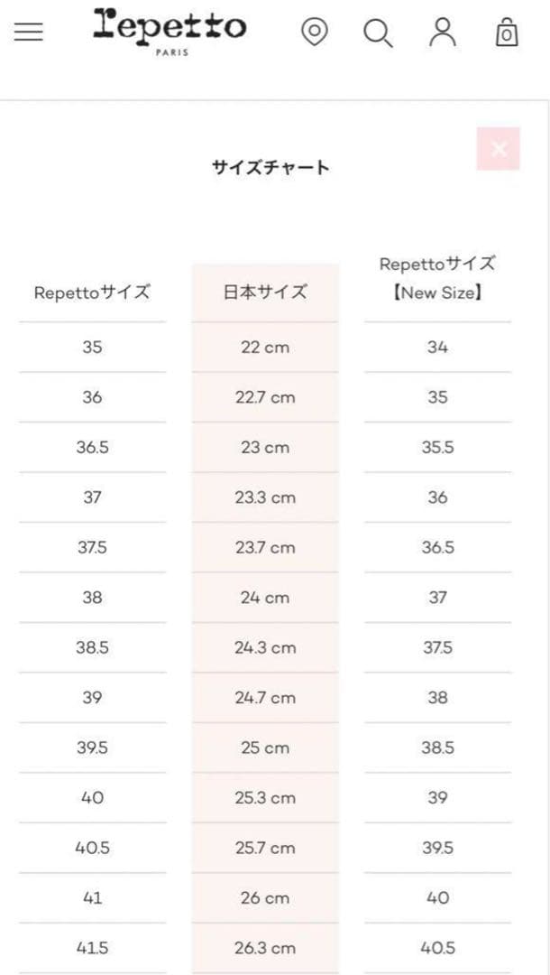 repetto ⭐︎サンドリオンメッシュ　フラット　シューズ