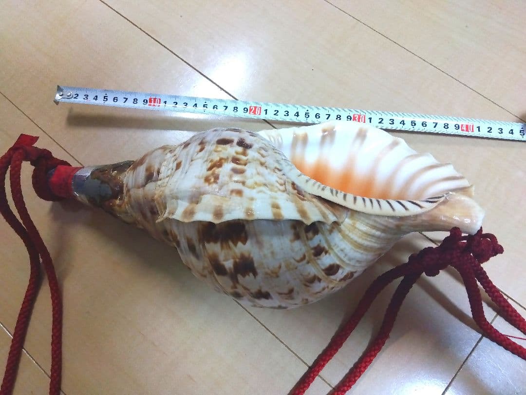 法螺貝　ほら笛
