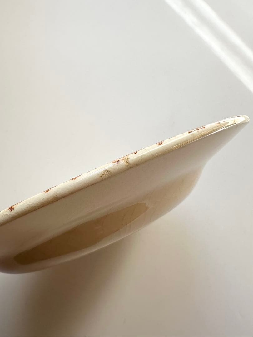 GIEN ジアン　cuctus フランス　アンティーク　プレート　皿　ブロカント