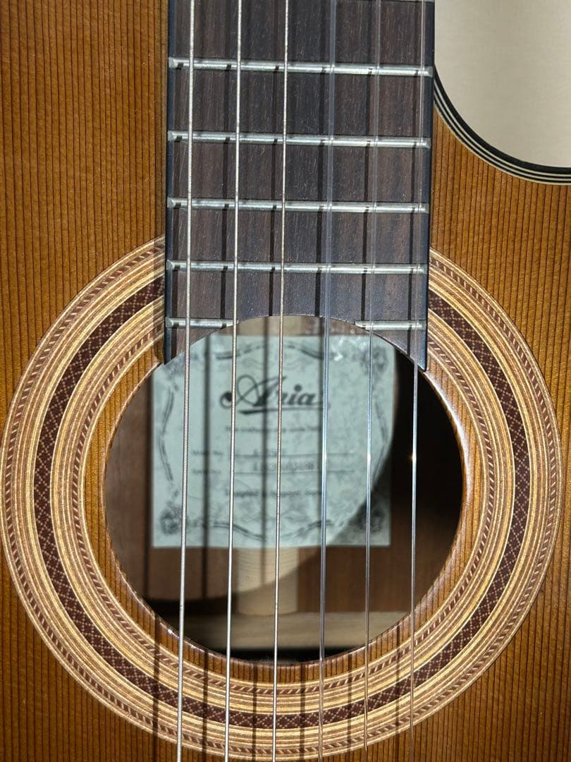 Aria A-35CE アコースティックギター
