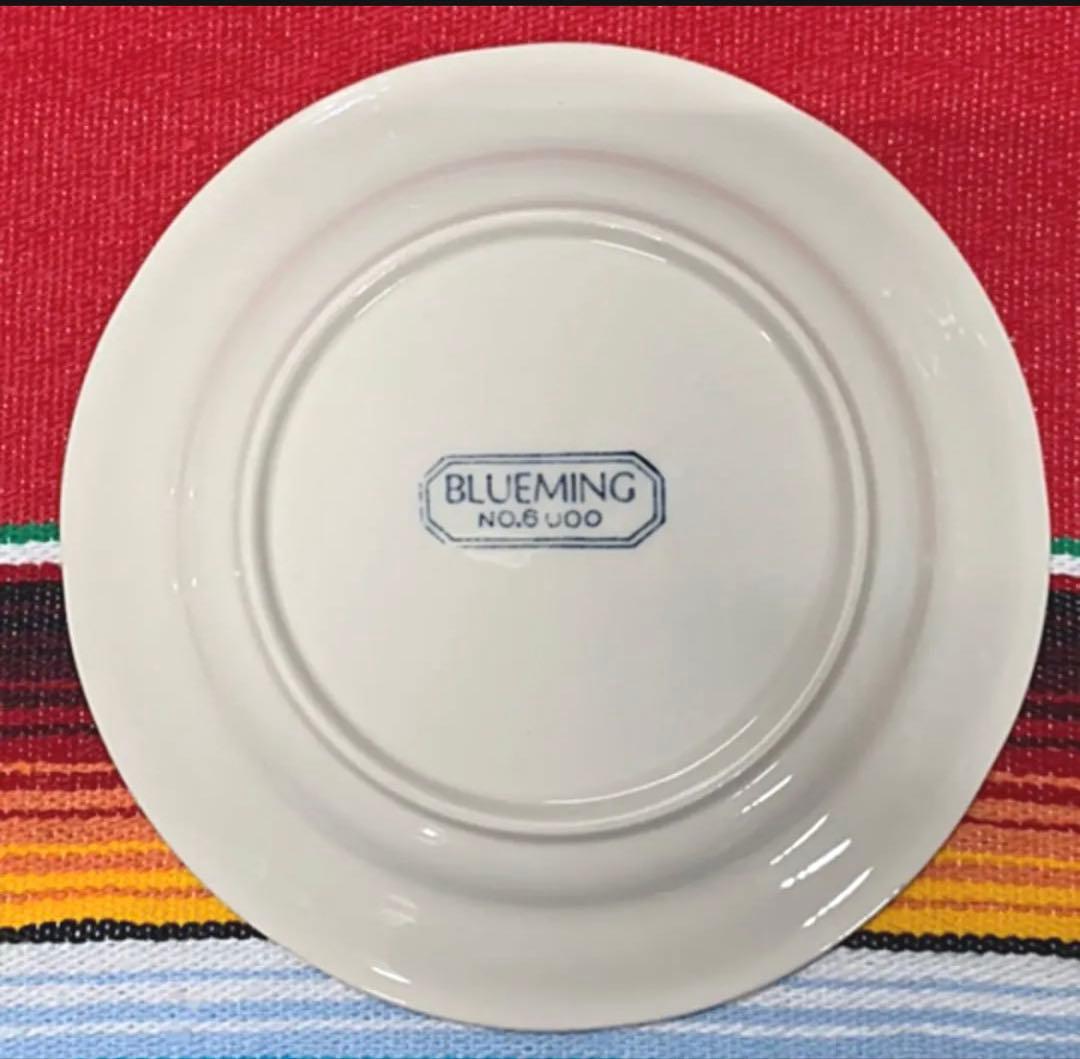 新品 BLUEMING お皿 10枚セット ブルーミング ビンテージ